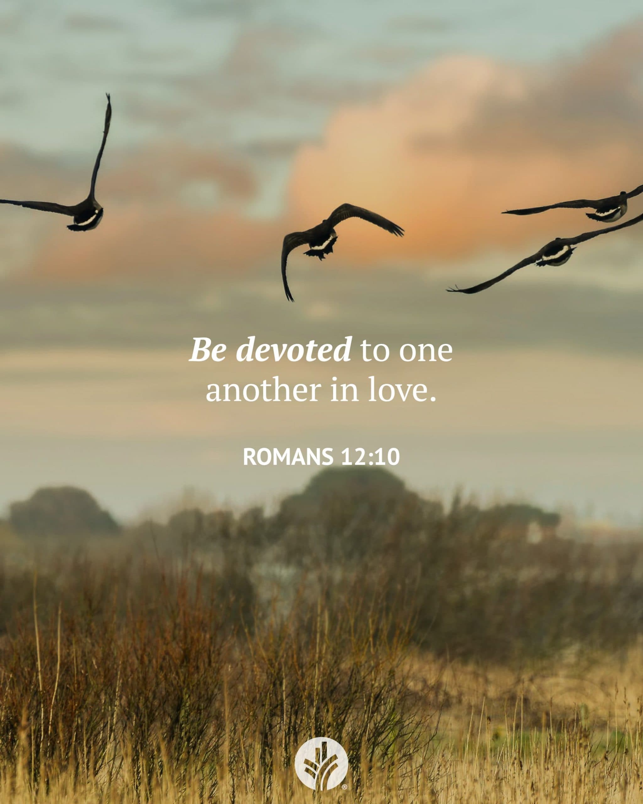 Don’t Do This Alone