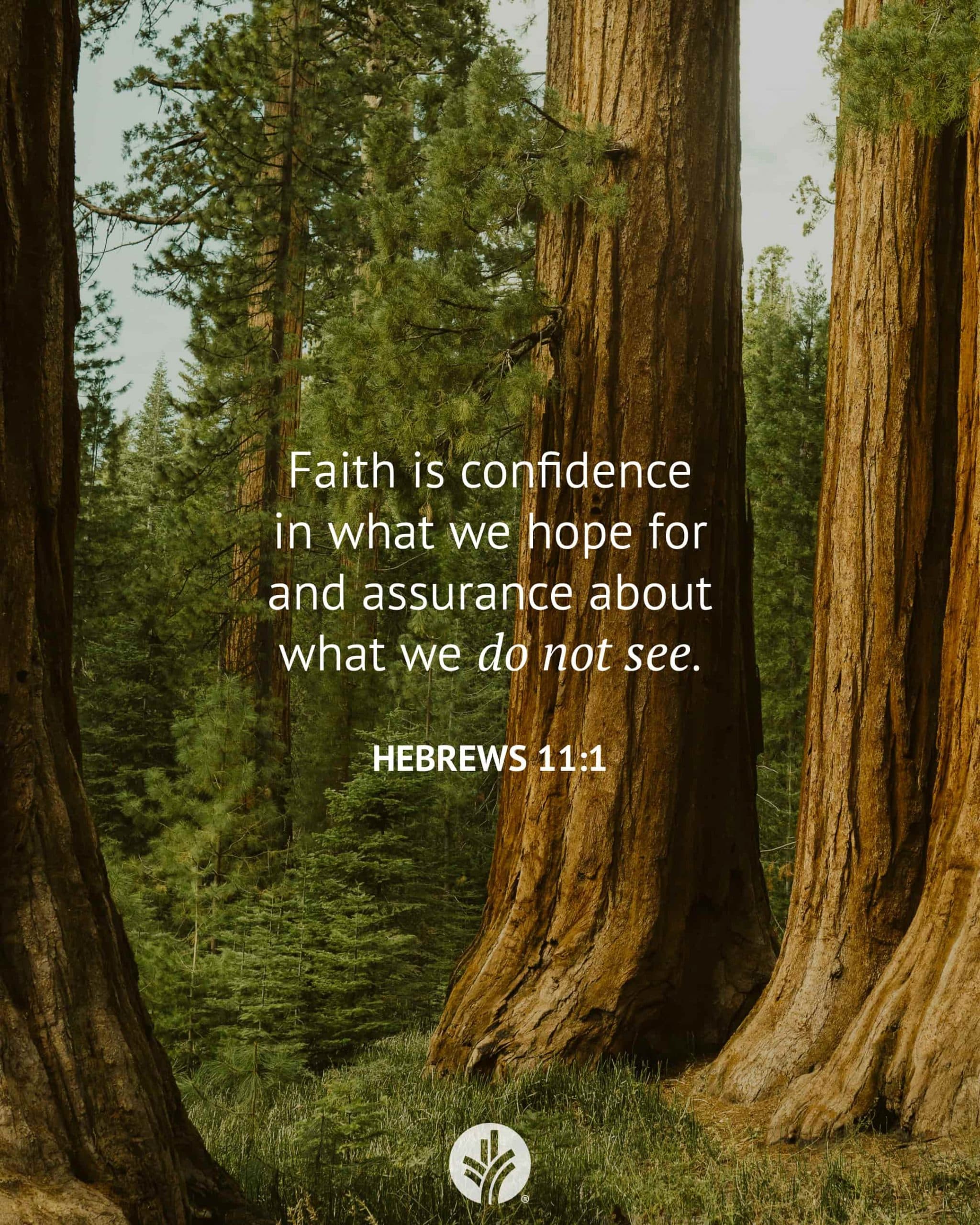 Believing More Than We See