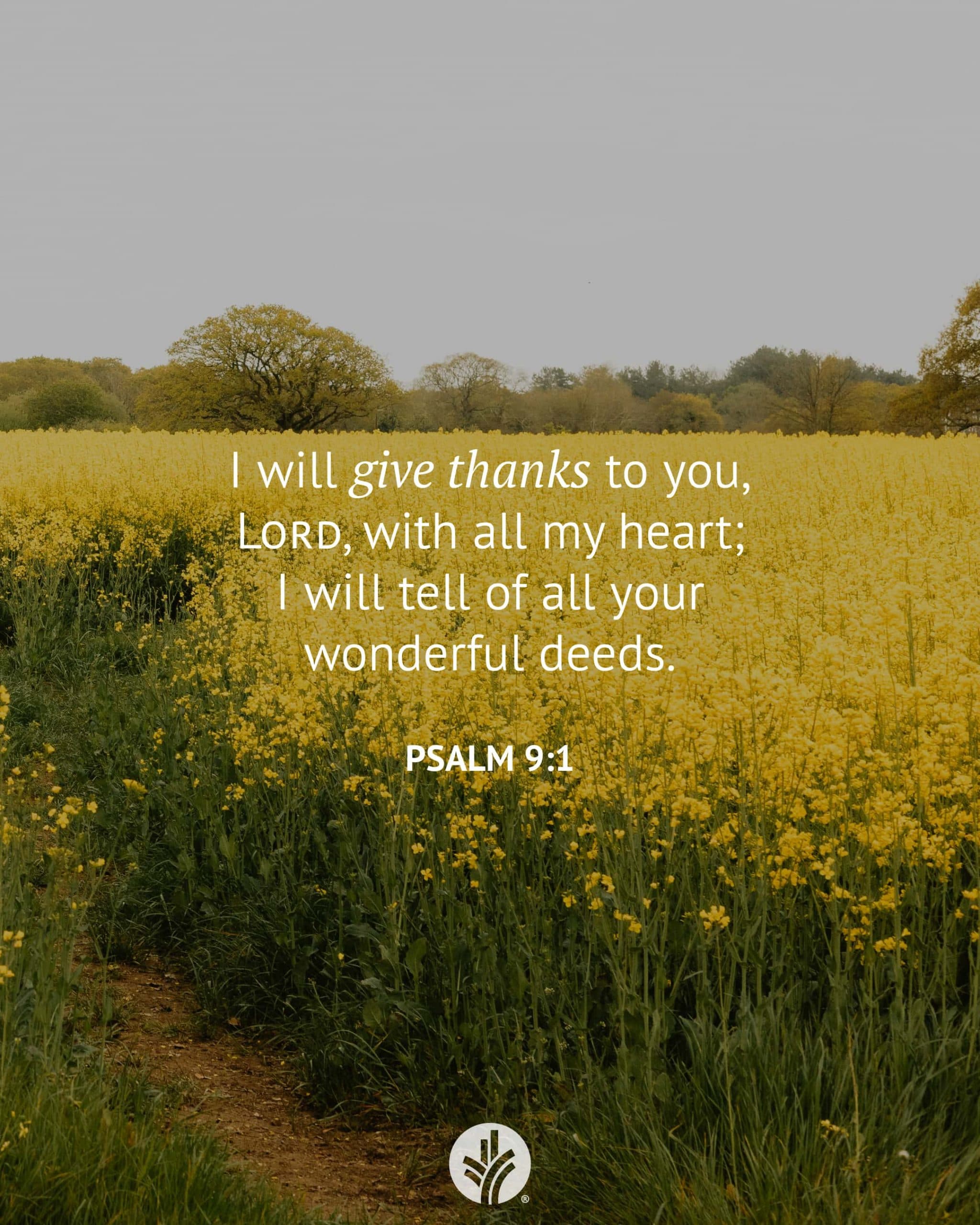 Cultivating Gratitude