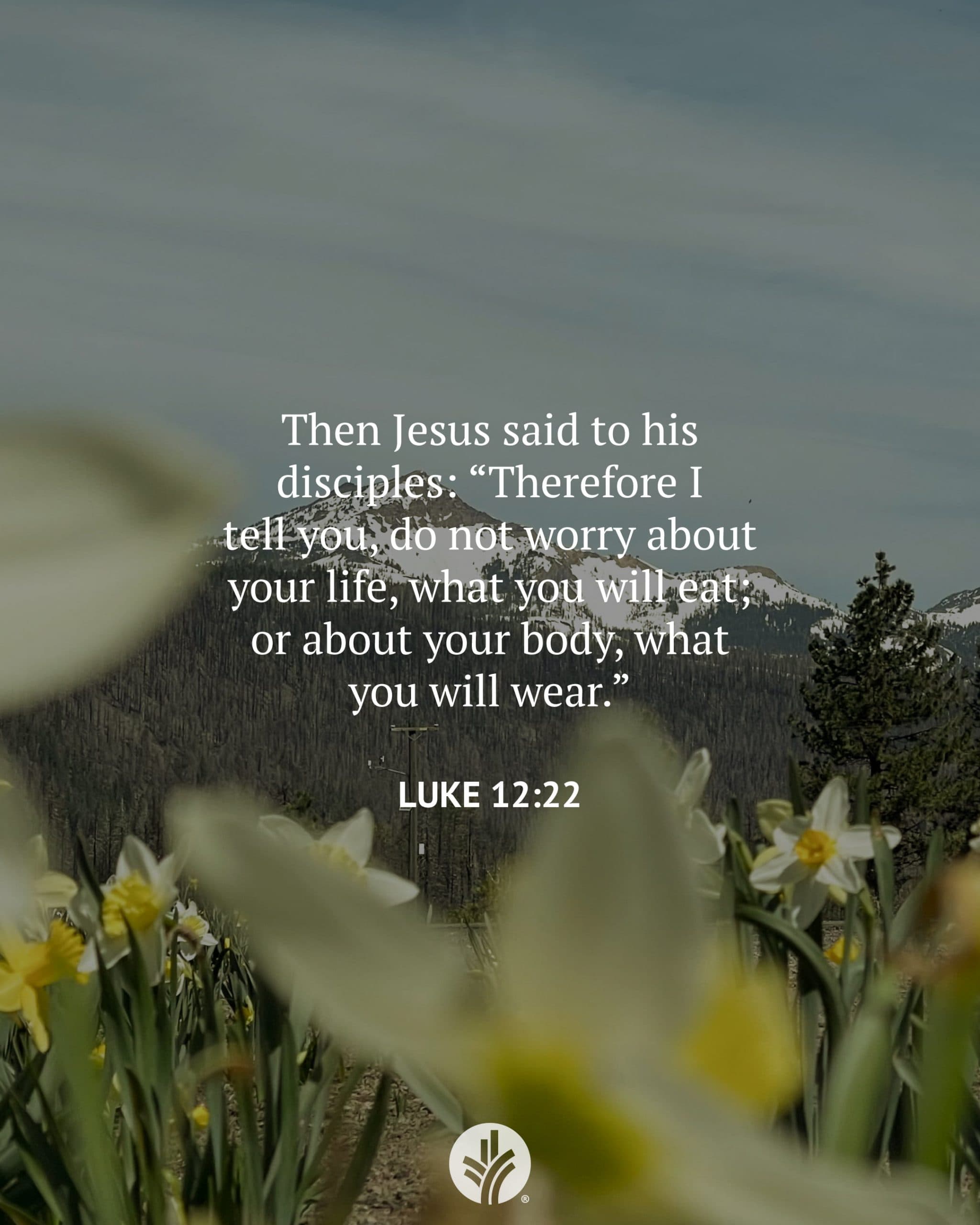 God’s Beautiful Creation